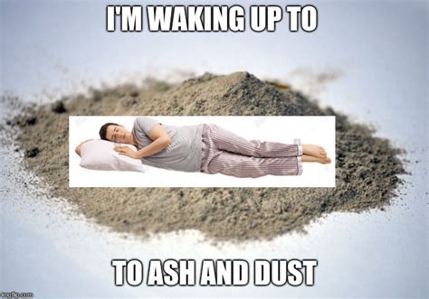 Dust Meme